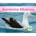 Wandering Albatross