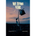 My Dying Star: The Last Letters of a Heart That Wouldn't Let Go