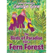 The Birds of Paradise Visit a Fern Forest