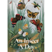 An Insect a Day