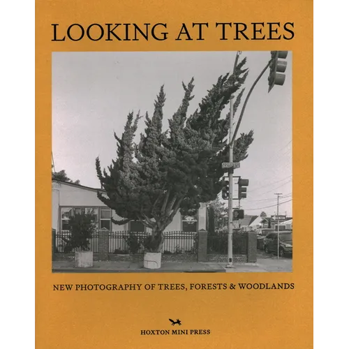 Looking at Trees: New Photography of Trees, Forests and Woodlands