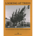 Looking at Trees: New Photography of Trees, Forests and Woodlands