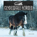 Clydesdale Horses