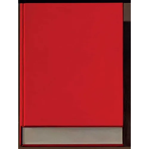 Liu Ye: The Book Paintings