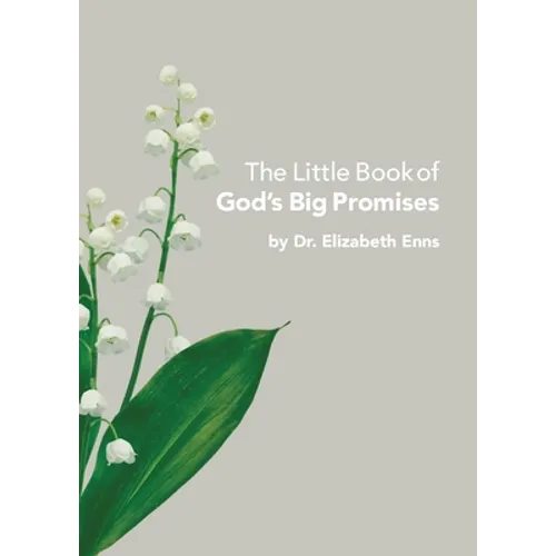 The Little Book of God's Big Promises