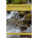 Secrets of the River: Riding the Creative Wave in Pediatric Hypnosis and Family Therapy