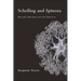 Schelling and Spinoza: Realism, Idealism, and the Absolute