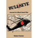 Bullseye: Journal of a Black Hawk Pilot