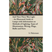 And Then There Was Light - An Illustrated Guide to Lamps with Information on Methods of Lighting, Types of Illumination, Wiring, Plugs, Bulbs and Part