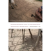 Unreasonable Histories: Nativism, Multiracial Lives, and the Genealogical Imagination in British Africa