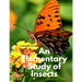 An Elementary Study of Insects