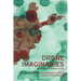 Drone Imaginaries: The Power of Remote Vision