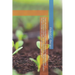 Agricultural Ecosystem-Based Solutions: Supporting Soil Health, Regenerative Farming, Biodiversity, Water Conservation, Climate Resilience, and Sustai