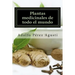 Plantas medicinales de todo el mundo: Una revisión actualizada