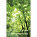 Urban Transparencies