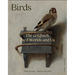 Birds: The Goldfinch, Birds, Art, and Us