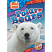 Polar Bears