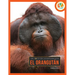 El Orangután: Spanish Edition