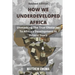 How We Underdeveloped Africa: Unmasking The True Obstacles to Africa's Development in Recent Years