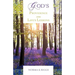 God's Providence and Life's Lessons
