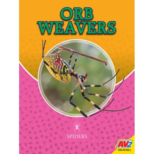 Orb Weavers