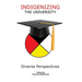 Indigenizing the University: Diverse Perspectives