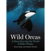 Wild Orcas: A Deep Dive Into the World of Killer Whales