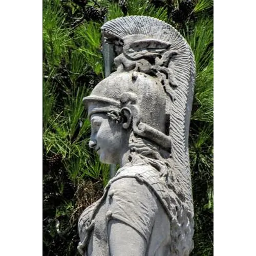 Goddess Athena Grimoire: A Book of Shadows