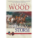 Red Sky Storm: A Story of the Civil War