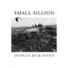 Small Sillion