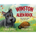 Winston and the Mystery of the Alien Rock