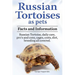 Russian Tortoises as Pets. Russian Tortoise facts and information. Russian tortoises daily care, pro's and cons, cages, diet, costs.: Facts and Inform