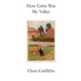 How Grim Was My Valley