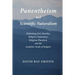 Panentheism and Scientific Naturalism: Rethinking Evil, Morality, Religious Experience, Religious Pluralism, and the Academic Study of Religion