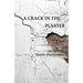 A Crack in the Plaster
