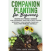 Companion Planting for Beginners