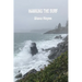 Hawking the Surf