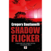 Shadow Flicker