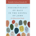 A Pneumatology of Race in the Gospel of John: An Ethnocritical Study