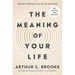 The Meaning of Your Life: Finding Purpose in an Age of Emptiness