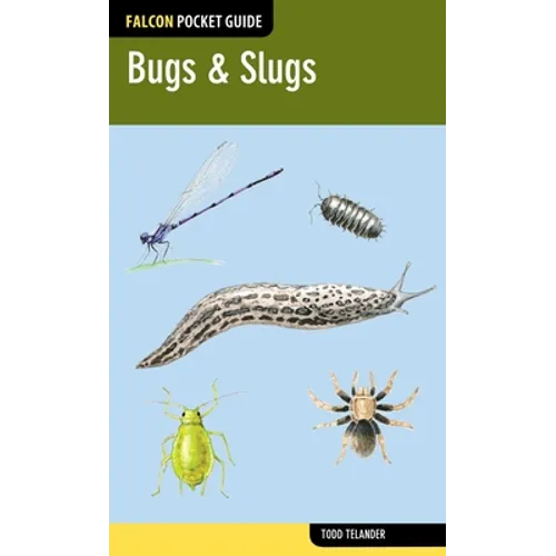 Bugs & Slugs