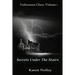 Secrets Under The Stairs