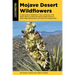 Mojave Desert Wildflowers