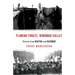 Flaming Forest, Wounded Valley Stories from Bastar and Kashmir