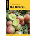 Foraging the Ozarks