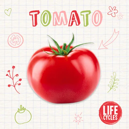 Tomato