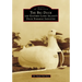 The Big Duck and Eastern Long Island's Duck Farming Industry