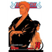 Bleach, Vol. 74