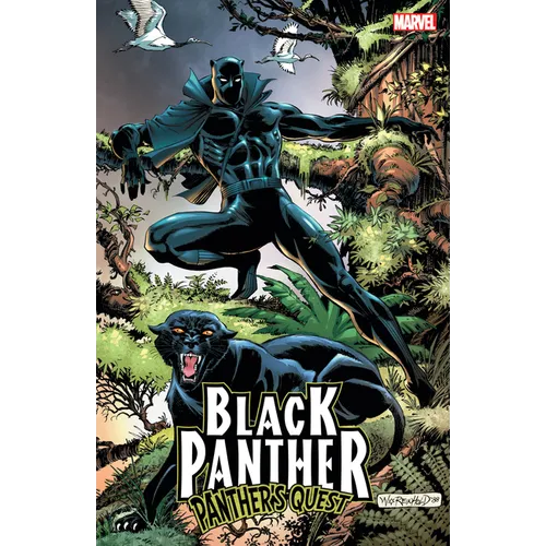 Black Panther: Panther's Quest