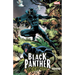 Black Panther: Panther's Quest